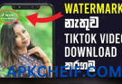 Tiktok Downloader - Download Video tiktok Without Watermark